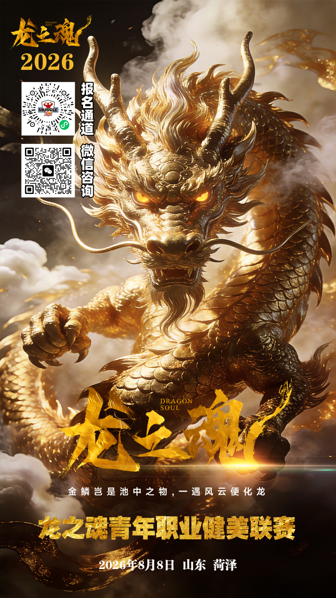 赛事报名|青年组也能拿职业卡!2026龙之魂青年职业健美联赛8月8号定档山东菏泽,热血重燃,等你来战!插图 赛事报名|青年组也能拿职业卡!2026龙之魂青年职业健美联赛8月8号定档山东菏泽,热血重燃,等你来战!插图